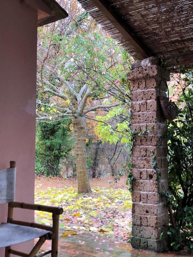 ラーリ La Casa Nel Boscoヴィラ エクステリア 写真